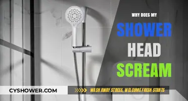 Why Does My Shower Head Scream? Causes and Quick Fixes