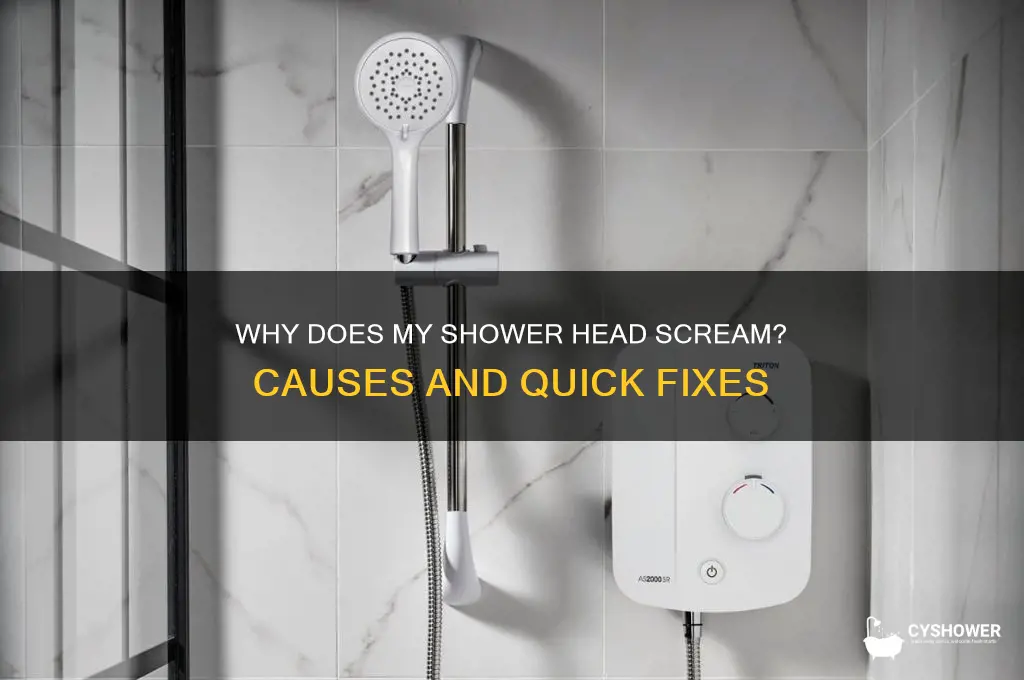 why does my shower head scream