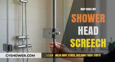 Why Does My Shower Head Screech? Causes and Quick Fixes