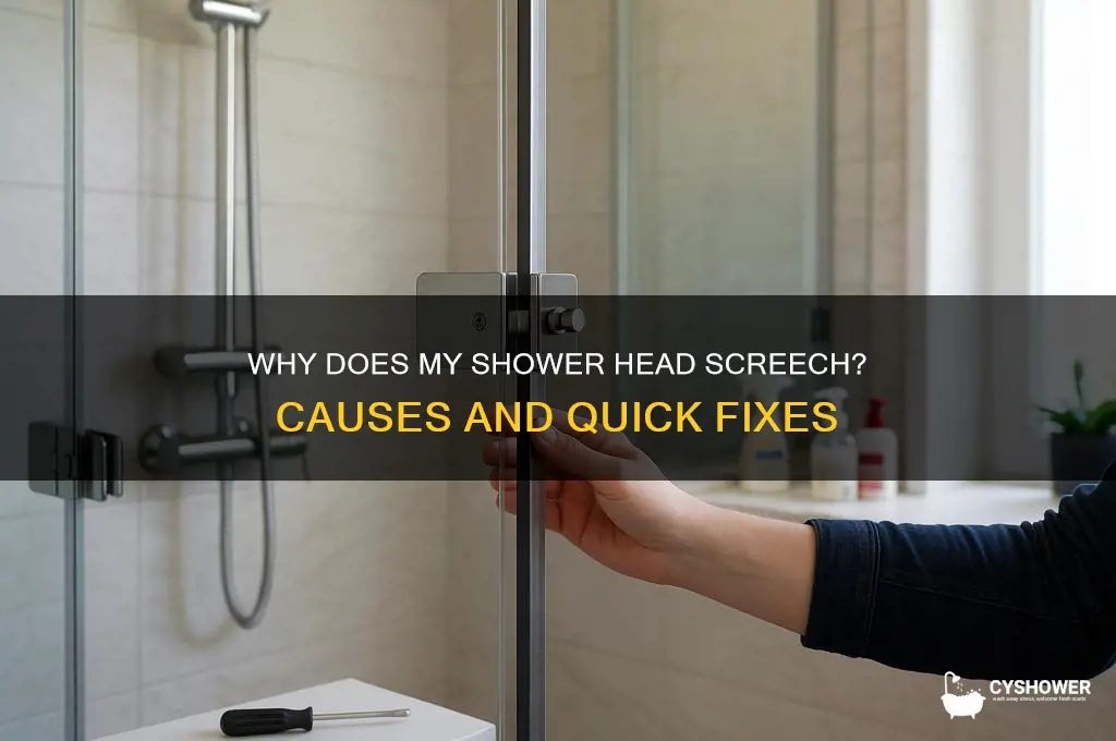 why does my shower head screech