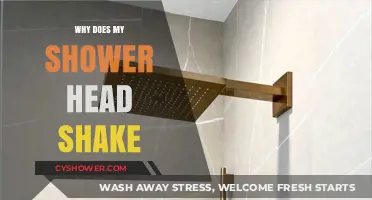 Why Does My Shower Head Shake? Causes and Quick Fixes