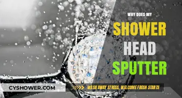 Why Does My Shower Head Sputter? Causes and Quick Fixes