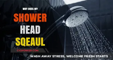 Why Does My Shower Head Squeal? Causes and Quick Fixes