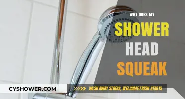 Why Does My Shower Head Squeak? Causes and Quick Fixes