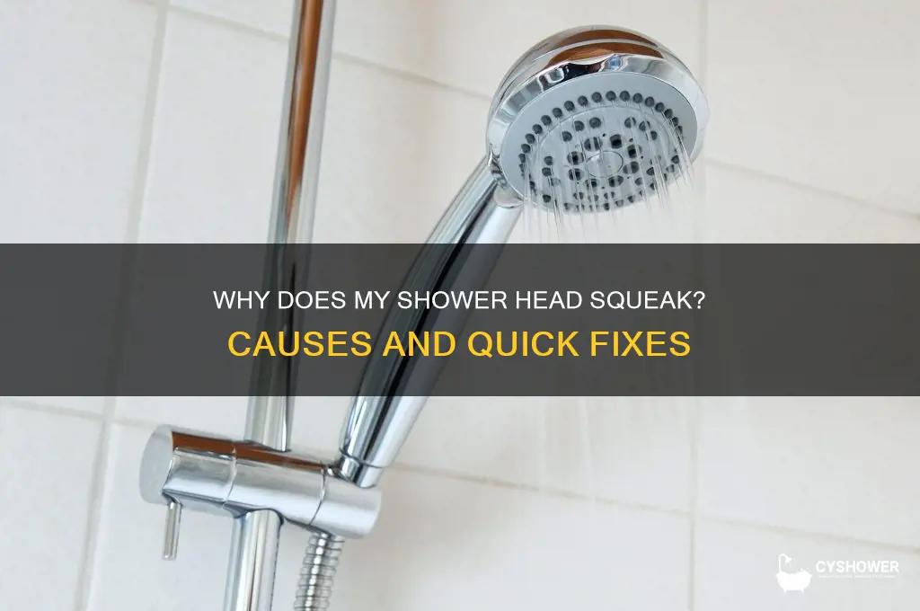 why does my shower head squeak