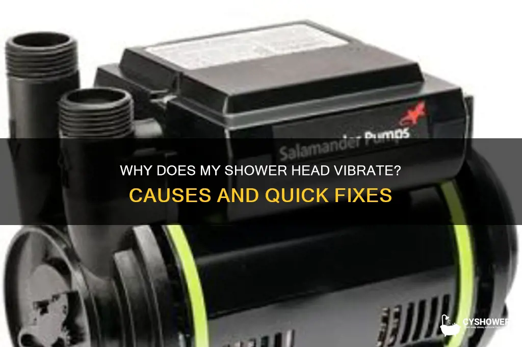 why does my shower head vibrate