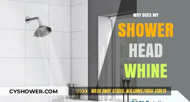 Why Does My Shower Head Whine? Causes and Quick Fixes