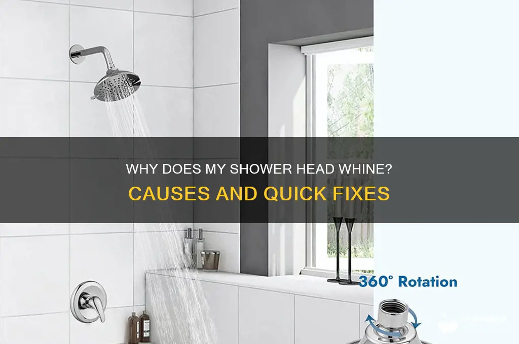 why does my shower head whine