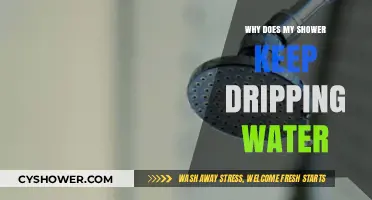 Why Your Shower Keeps Dripping: Causes and Quick Fixes