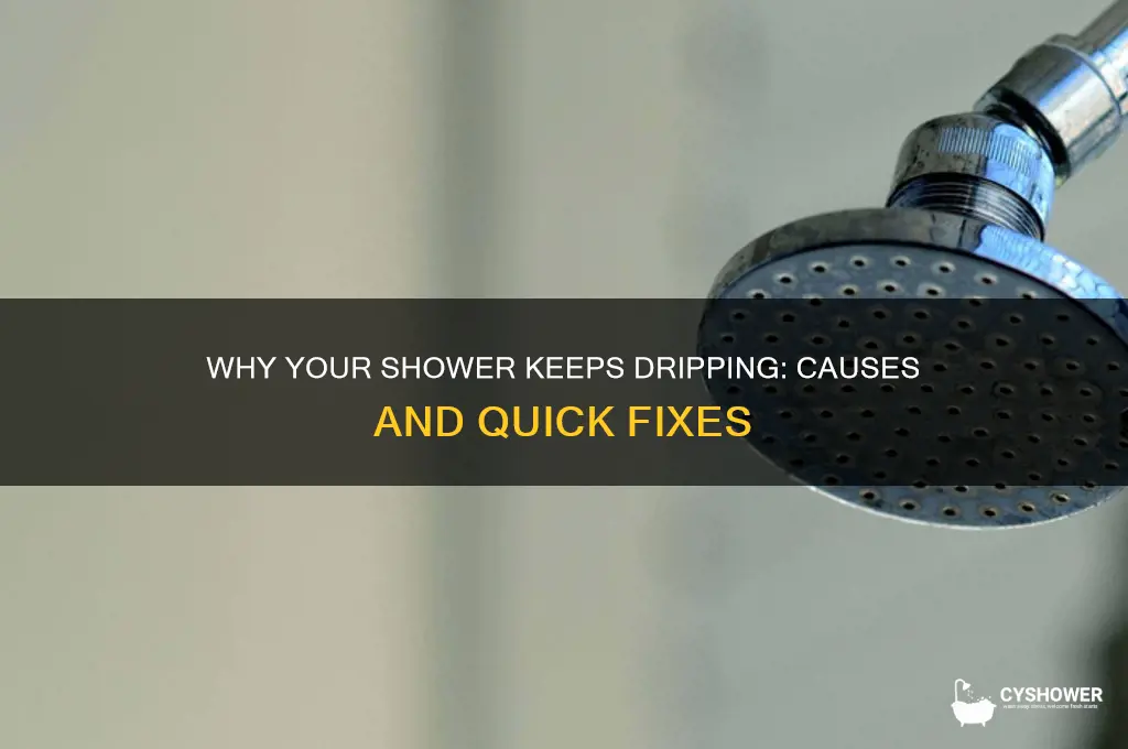 why does my shower keep dripping water