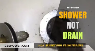 Why Your Shower Drain is Clogged: Causes and Quick Fixes