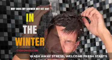 Winter Shower Woes: Why Your Hot Water Disappears in Cold Months