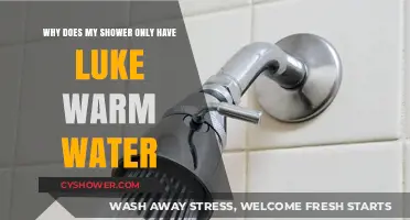 Why Your Shower Stays Lukewarm: Troubleshooting Tips for Hot Water Issues