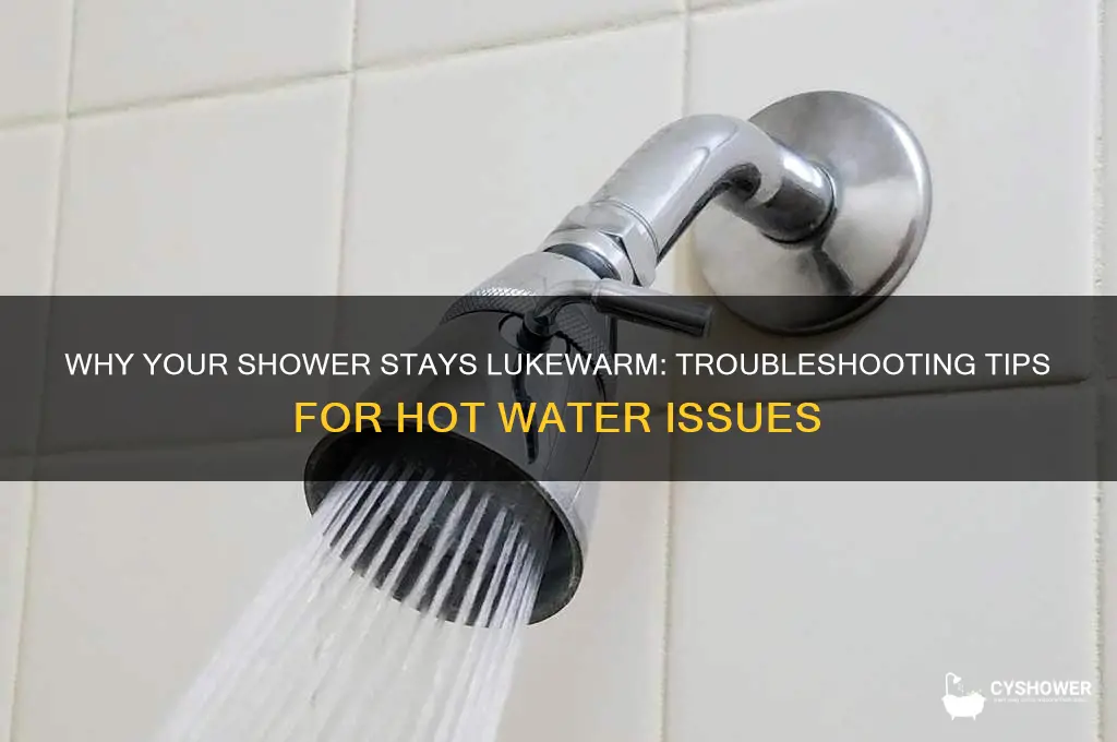 why does my shower only have luke warm water