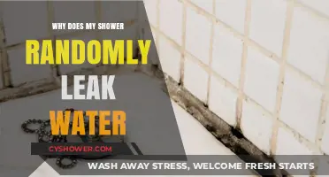 Why Your Shower Randomly Leaks: Causes and Quick Fixes