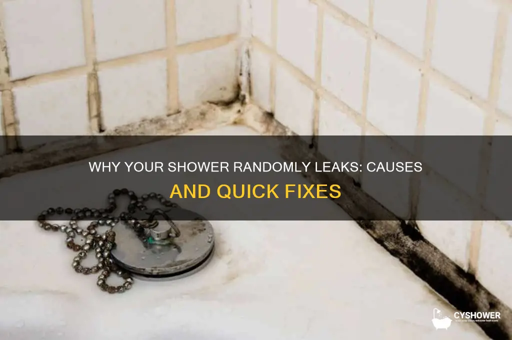 why does my shower randomly leak water