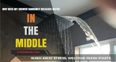 Why Your Shower Randomly Releases Water Mid-Use: Causes and Fixes