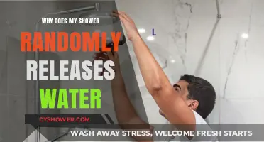 Why Your Shower Randomly Releases Water: Causes and Fixes