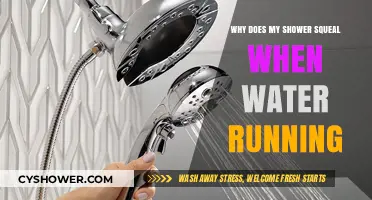 Why Your Shower Squeals When Water Runs: Causes and Fixes