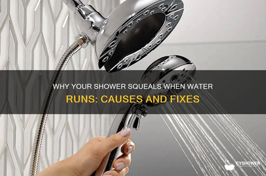 why does my shower squeal when water running