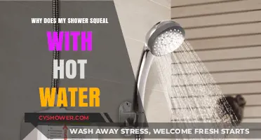 Why Does My Shower Squeal with Hot Water? Causes & Fixes