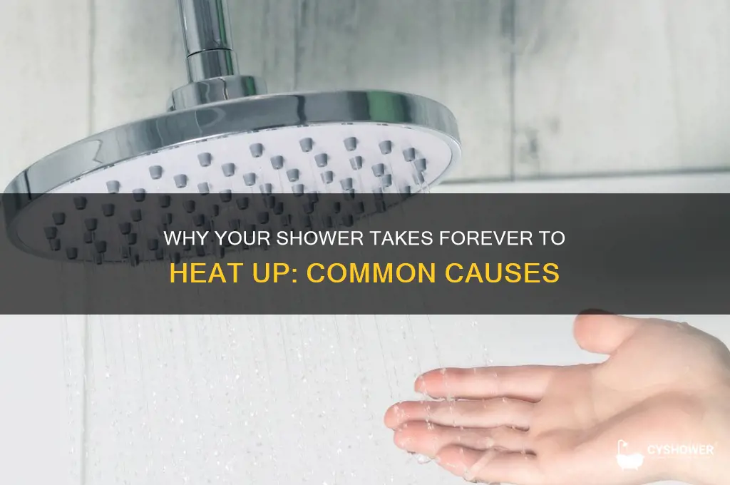 why does my shower take so long to get hot
