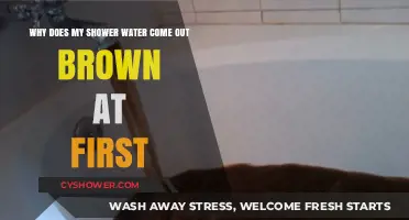 Why Shower Water Turns Brown Initially: Causes and Solutions Explained