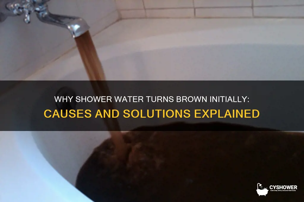 why does my shower water come out brown at first