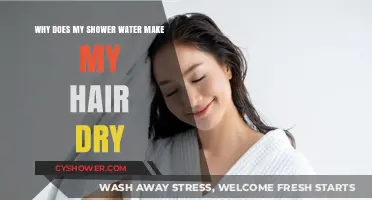 Shower Water Woes: Why Your Hair Feels Dry After Washing