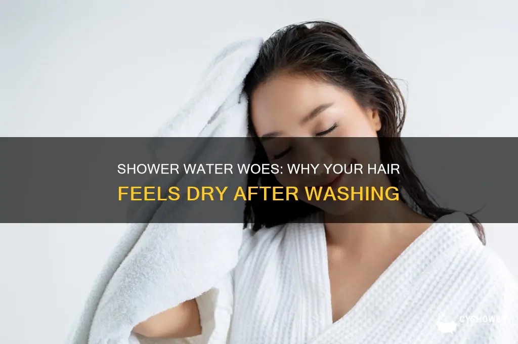 why does my shower water make my hair dry