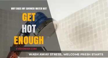 Troubleshooting Lukewarm Showers: Why Your Water Isn't Heating Properly