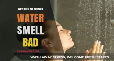 Why Does My Shower Water Smell Bad? Causes and Fixes