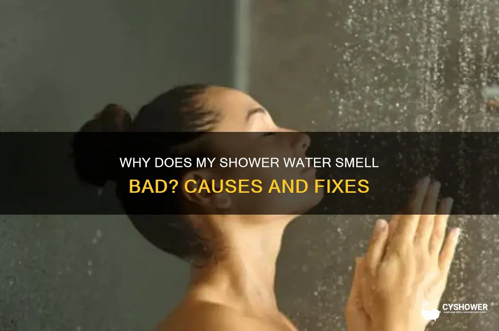 why does my shower water smell bad