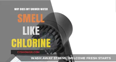 Why Does My Shower Water Smell Like Chlorine? Causes and Solutions
