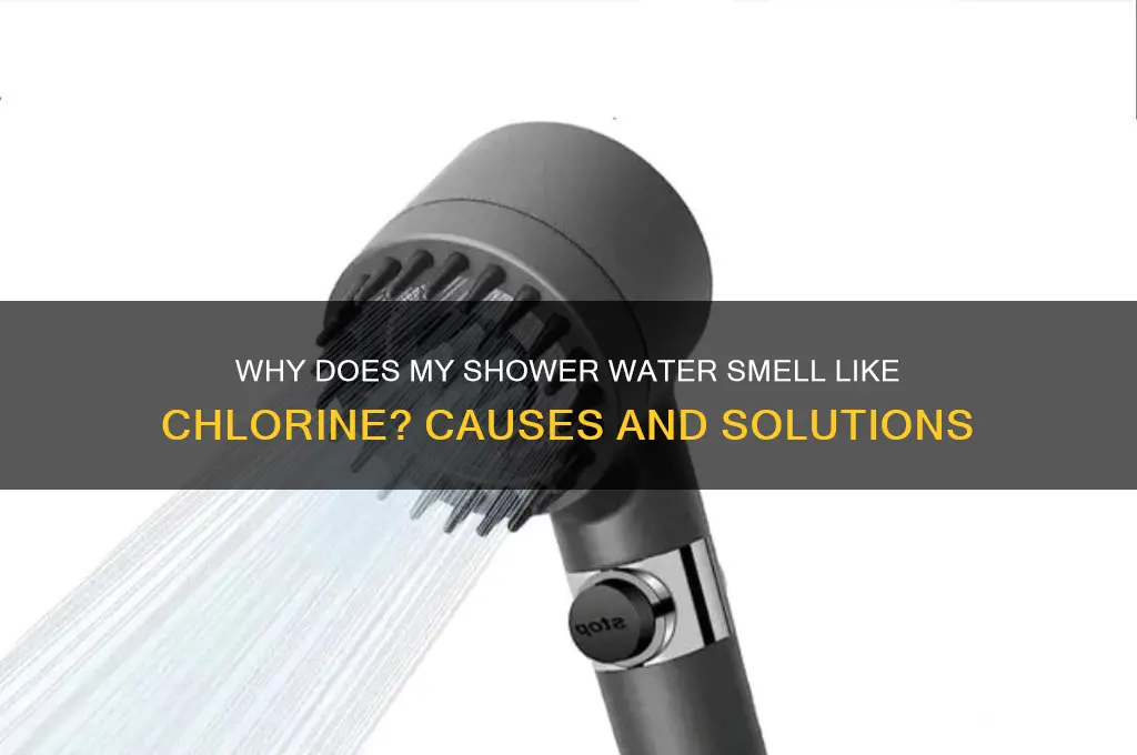 why does my shower water smell like chlorine