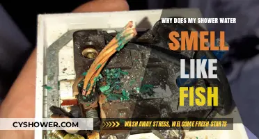 Fishy Shower Water: Causes and Solutions for the Strange Smell