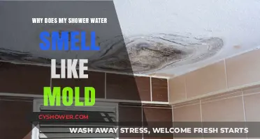 Why Does My Shower Water Smell Like Mold? Causes and Fixes