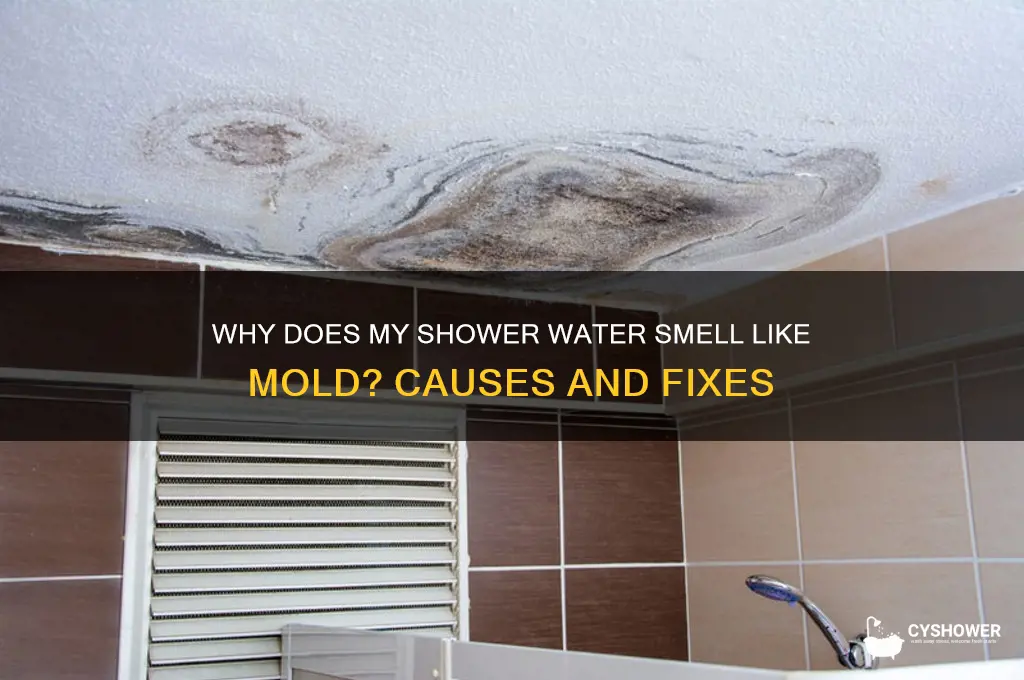 why does my shower water smell like mold