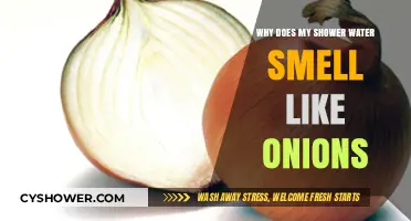 Why Does My Shower Water Smell Like Onions? Causes and Fixes