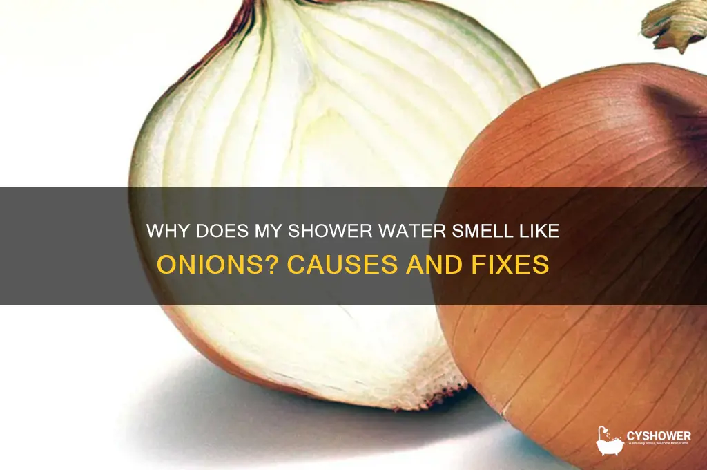 why does my shower water smell like onions