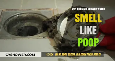 Why Does My Shower Water Smell Like Poop? Causes and Fixes