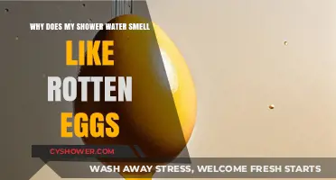 Rotten Egg Smell in Shower Water: Causes and Solutions