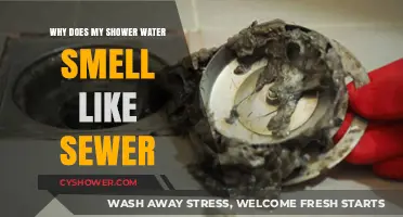 Shower Water Smelling Like Sewer? Causes and Solutions Explained