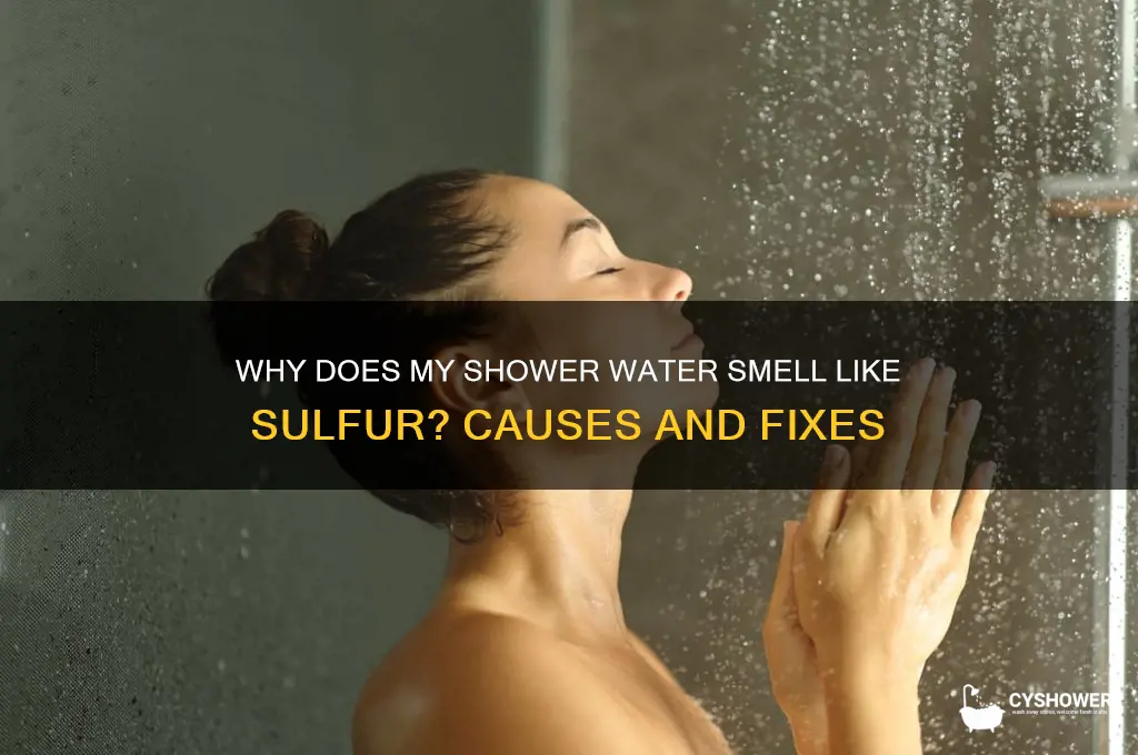 why does my shower water smell like sulfur