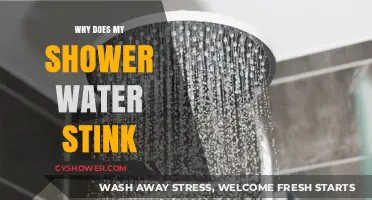 Why Does My Shower Water Smell Bad? Causes and Fixes