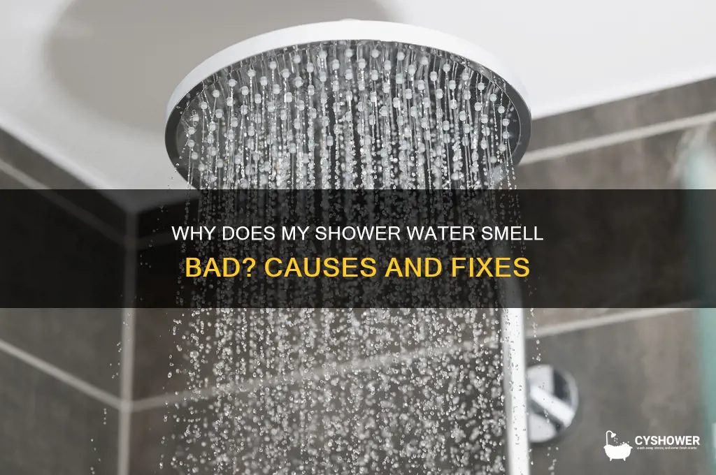 why does my shower water stink
