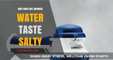 Why Does My Shower Water Taste Salty? Causes and Solutions