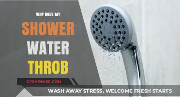 Why Does My Shower Water Throb? Causes and Fixes Explained