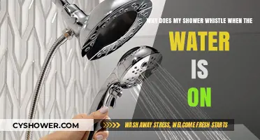 Why Your Shower Whistles When Water Flows: Explained