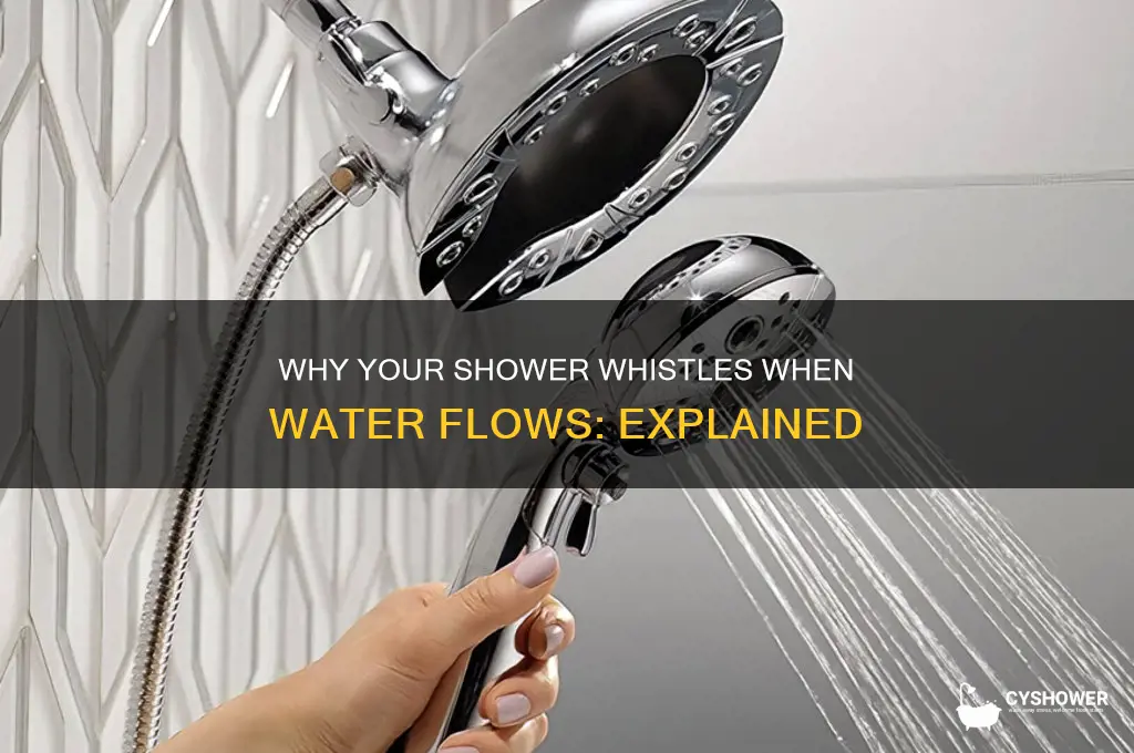 why does my shower whistle when the water is on